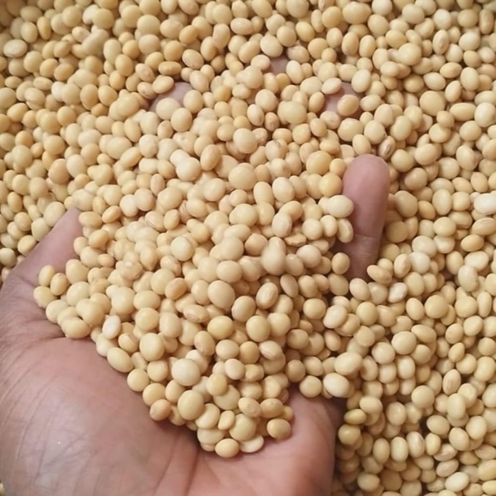Soybeans